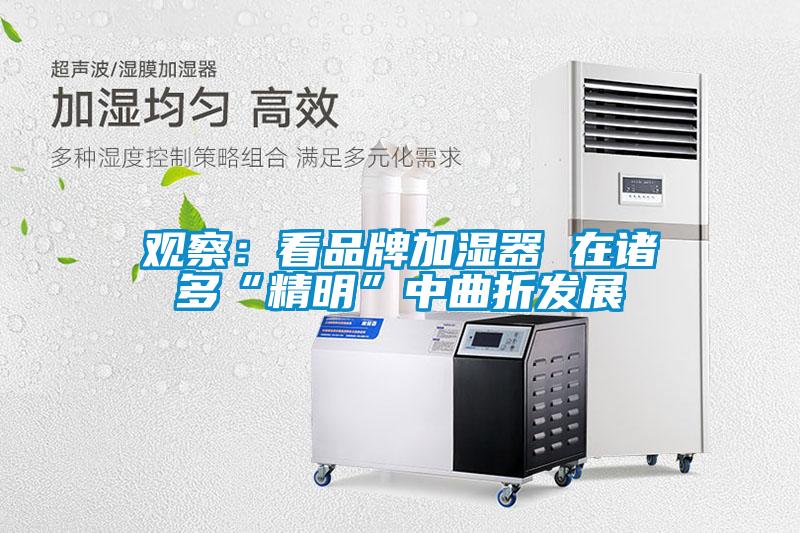 观察：看品牌加湿器 在诸多“精明”中曲折发展