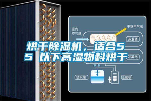 烘干香蕉福利视频机，适合55℃以下高湿物料烘干