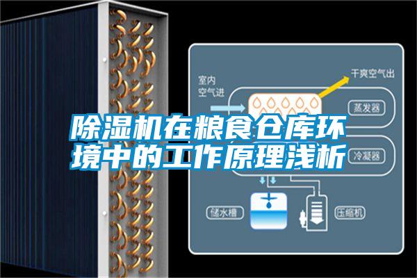 香蕉福利视频机在粮食仓库环境中的工作原理浅析