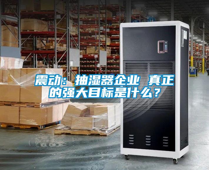 震动：抽湿器企业 真正的强大目标是什么？