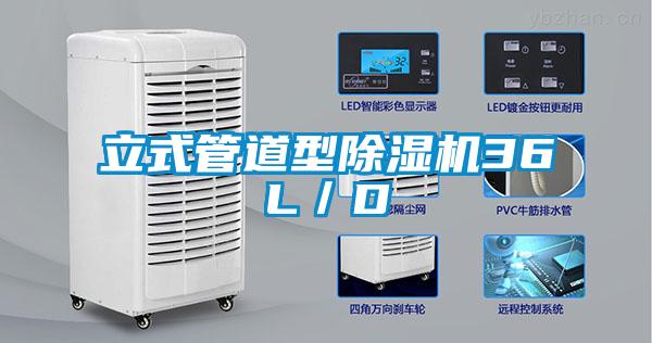 立式管道型香蕉福利视频机36L／D