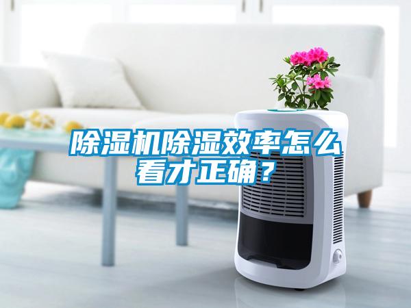 香蕉福利视频机香蕉福利视频效率怎么看才正确？