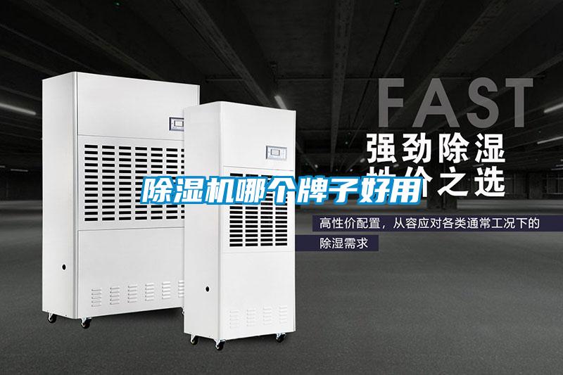 香蕉福利视频机哪个牌子好用