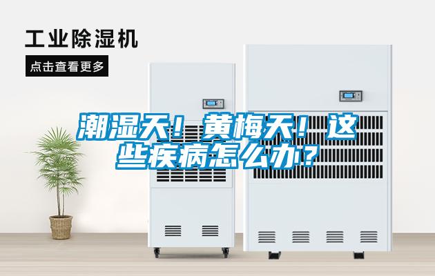 潮湿天！黄梅天！这些疾病怎么办？