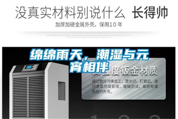 绵绵雨天，潮湿与元宵相伴