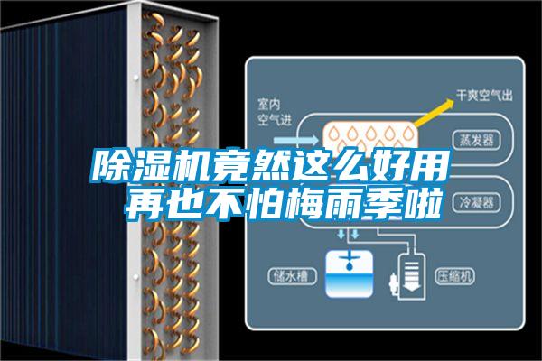 香蕉福利视频机竟然这么好用 再也不怕梅雨季啦