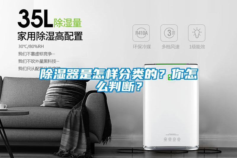 香蕉福利视频器是怎样分类的？你怎么判断？