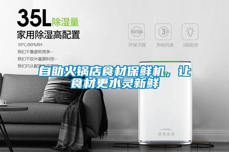 自助火锅店食材保鲜机，让食材更水灵新鲜