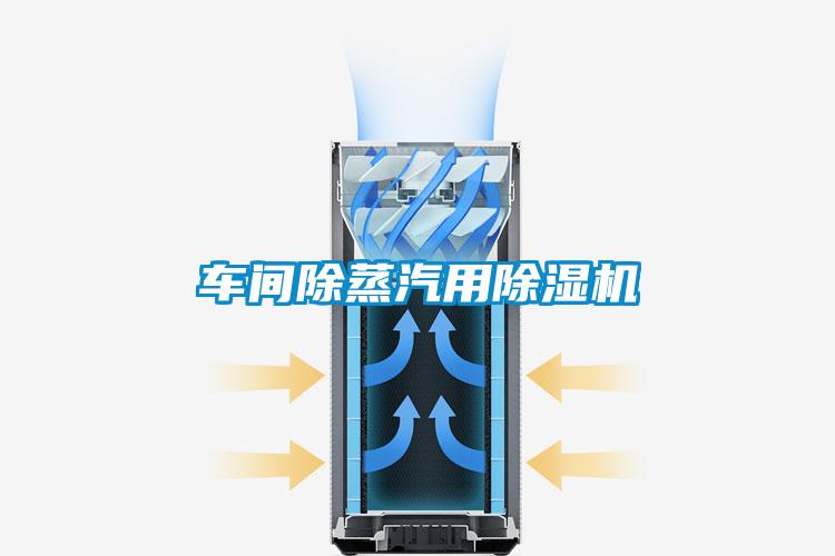 车间除蒸汽用香蕉福利视频机