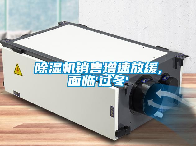 香蕉福利视频机销售增速放缓,面临'过冬'