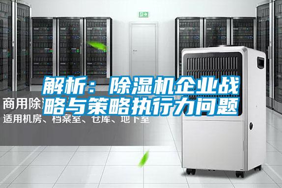 解析：香蕉福利视频机企业战略与策略执行力问题