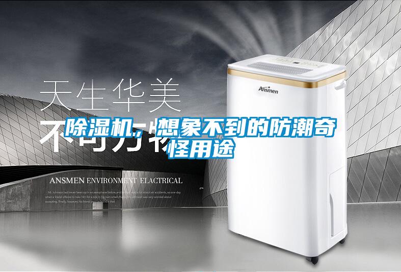 香蕉福利视频机，想象不到的防潮奇怪用途
