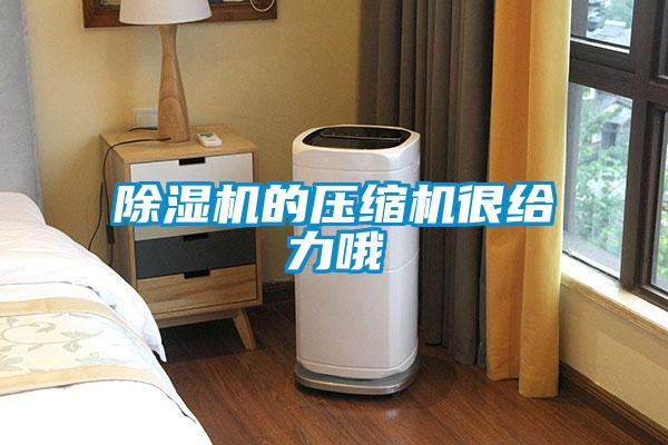 香蕉福利视频机的压缩机很给力哦