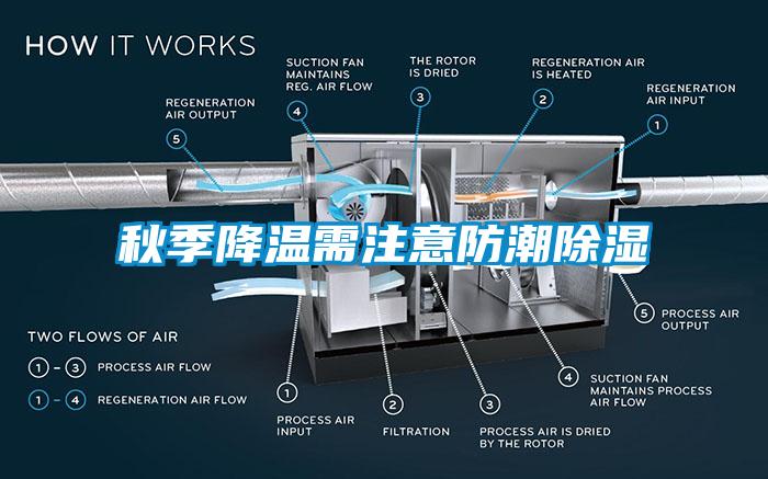 秋季降温需注意防潮香蕉福利视频