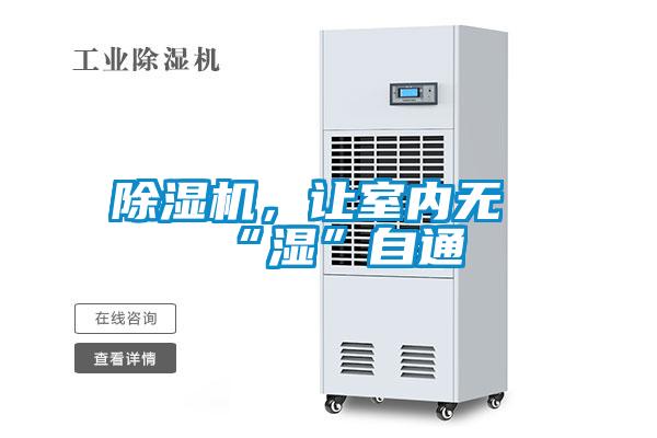 香蕉福利视频机，让室内无“湿”自通