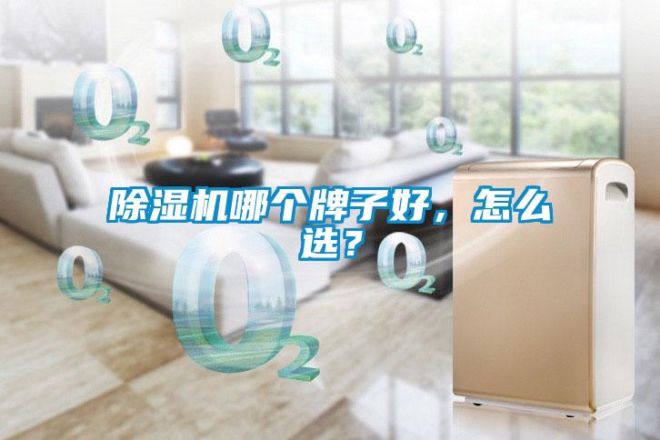 香蕉福利视频机哪个牌子好，怎么选？