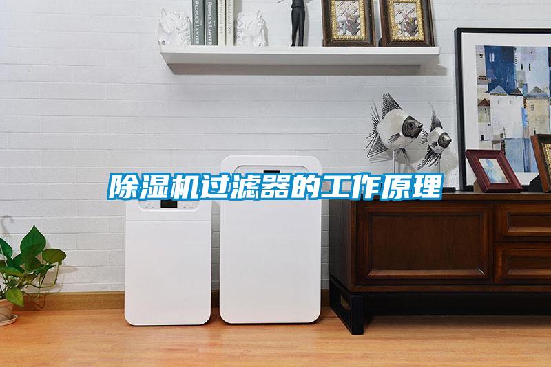 香蕉福利视频机过滤器的工作原理