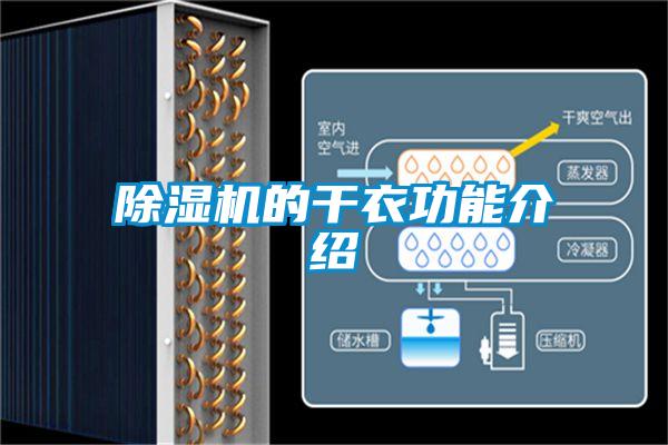 香蕉福利视频机的干衣功能介绍