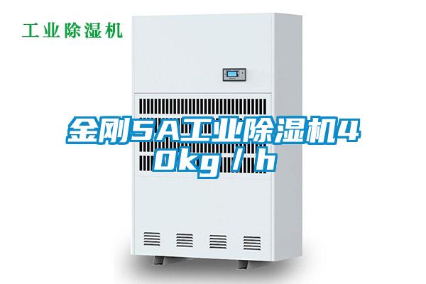 金刚5A工业香蕉福利视频机40kg／h