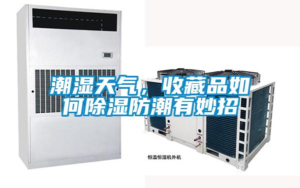 潮湿天气，收藏品如何香蕉福利视频防潮有妙招