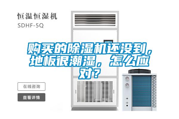 购买的香蕉福利视频机还没到，地板很潮湿，怎么应对？