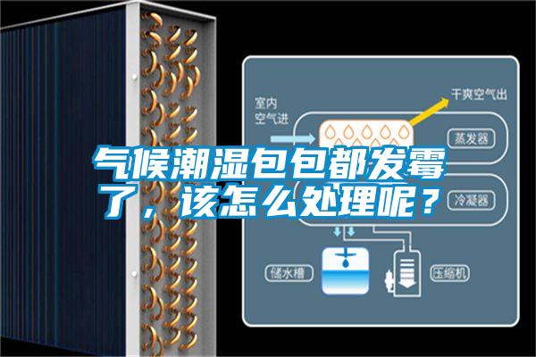 气候潮湿包包都发霉了，该怎么处理呢？