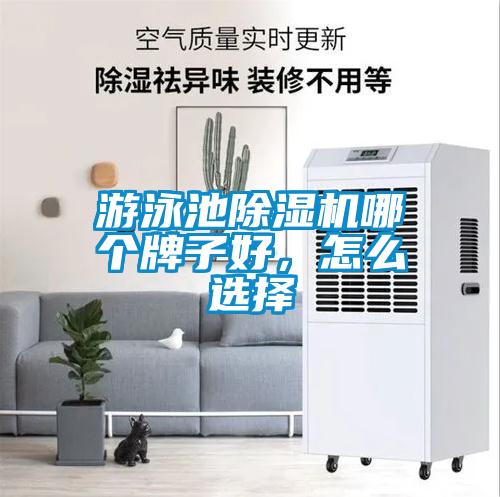 游泳池香蕉福利视频机哪个牌子好，怎么选择