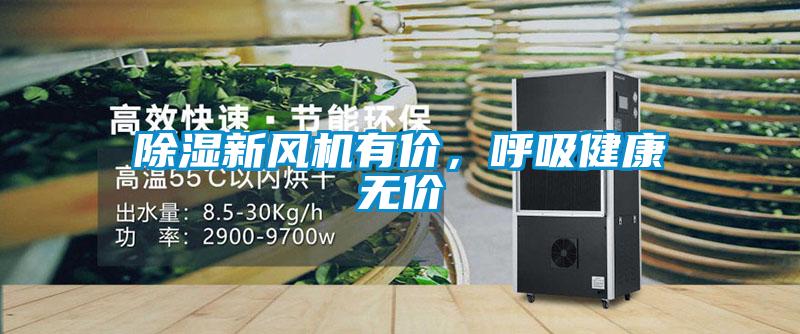 香蕉福利视频新风机有价，呼吸健康无价