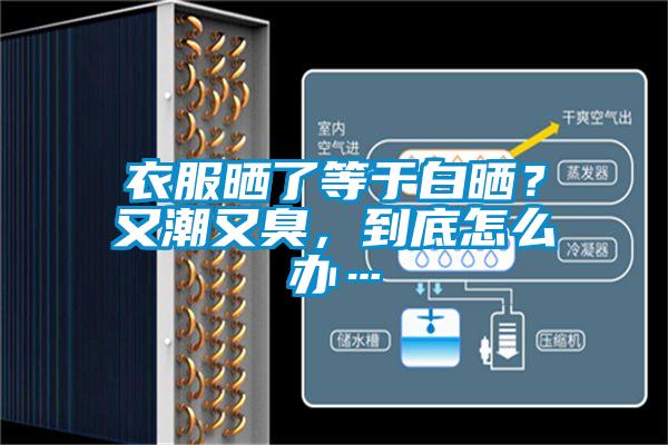 衣服晒了等于白晒？又潮又臭，到底怎么办…