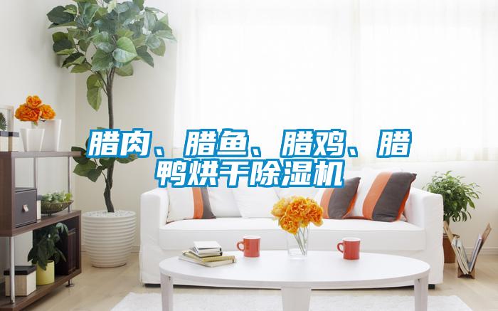 腊肉、腊鱼、腊鸡、腊鸭烘干香蕉福利视频机