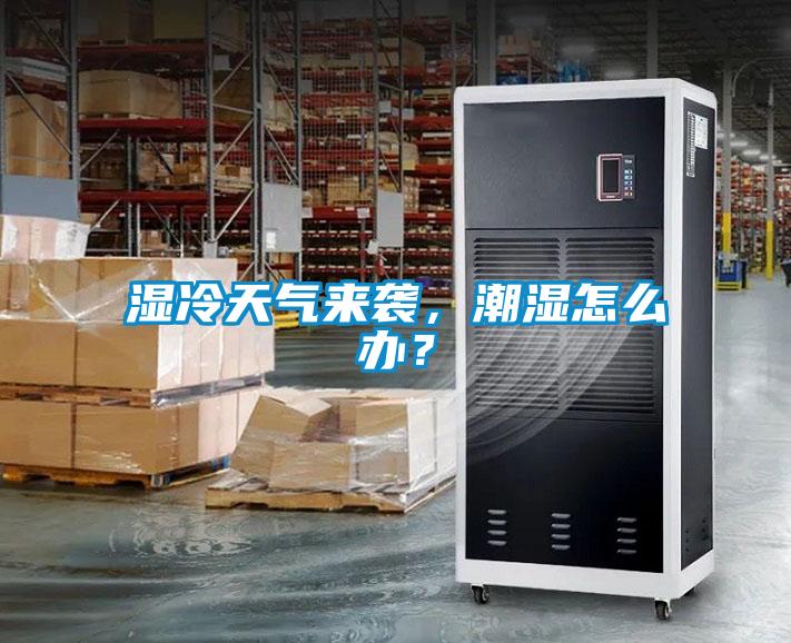 湿冷天气来袭，潮湿怎么办？