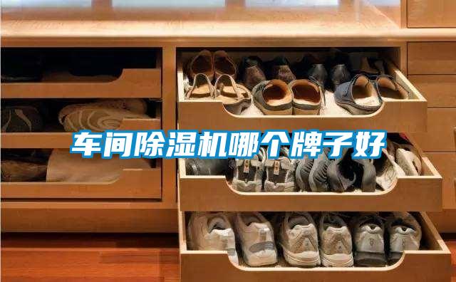 车间香蕉福利视频机哪个牌子好