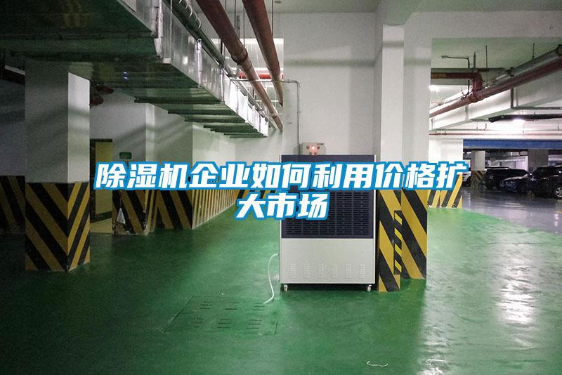 香蕉福利视频机企业如何利用价格扩大市场