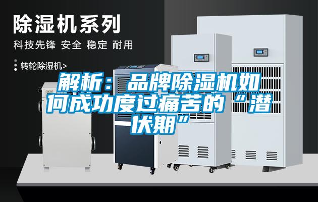 解析：品牌香蕉福利视频机如何成功度过痛苦的“潜伏期”