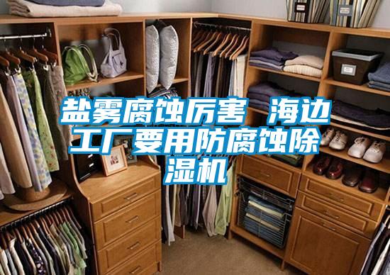 盐雾腐蚀厉害 海边工厂要用防腐蚀香蕉福利视频机