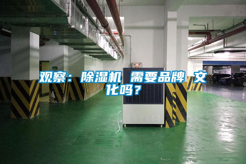 观察：香蕉福利视频机 需要品牌 文化吗？
