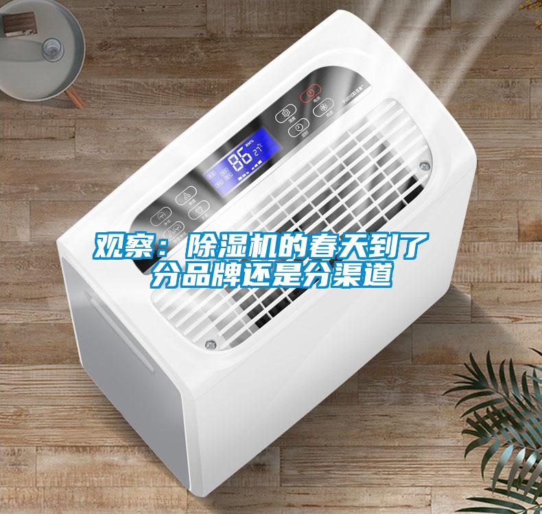 观察：香蕉福利视频机的春天到了 分品牌还是分渠道