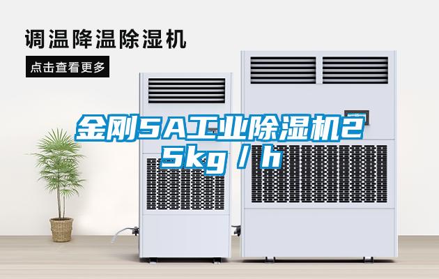 金刚5A工业香蕉福利视频机25kg／h