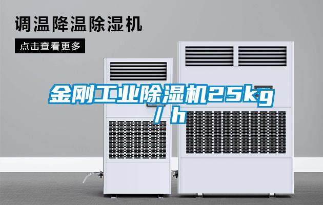 金刚工业香蕉福利视频机25kg／h