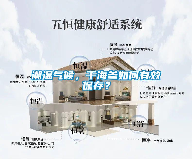 潮湿气候，干海参如何有效保存？