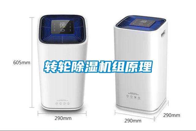 转轮香蕉福利视频机组原理
