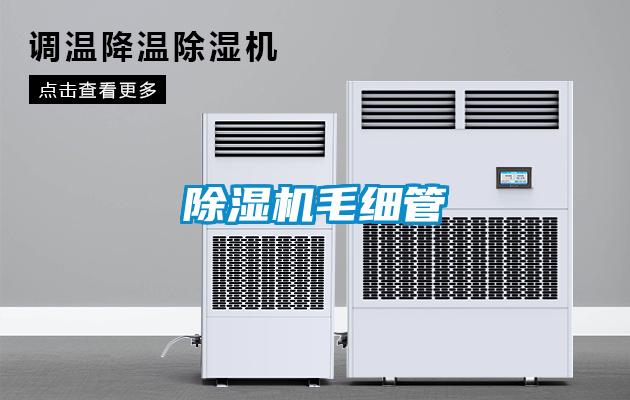 香蕉福利视频机毛细管