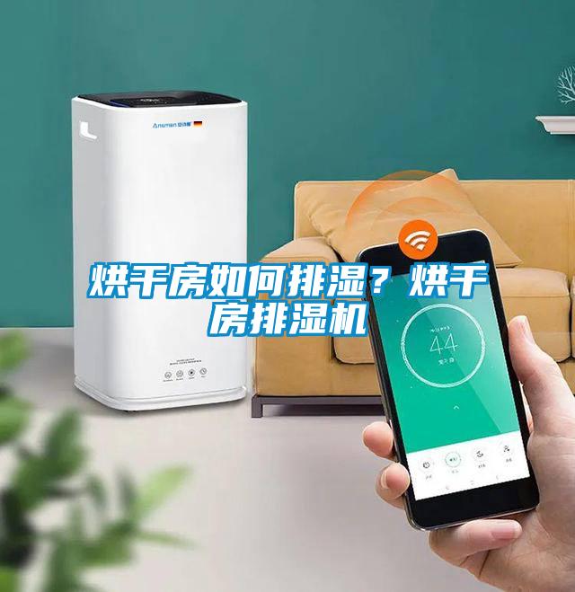 烘干房如何排湿？烘干房排湿机