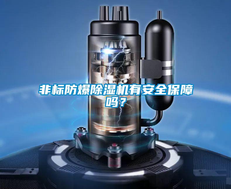 非标防爆香蕉福利视频机有安全保障吗？