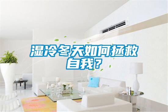 湿冷冬天如何拯救自我？