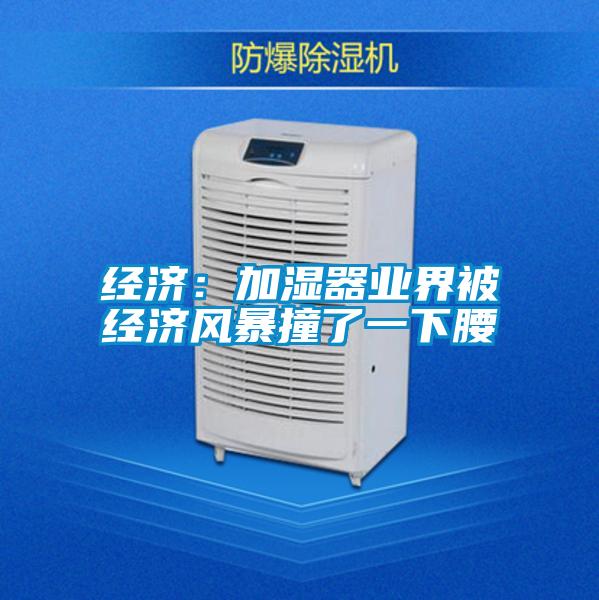 经济：加湿器业界被经济风暴撞了一下腰