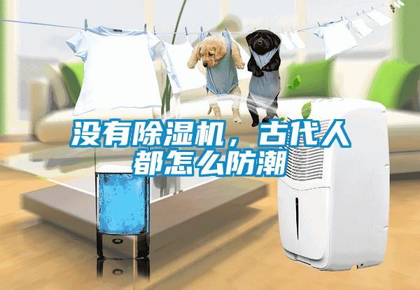 没有香蕉福利视频机，古代人都怎么防潮