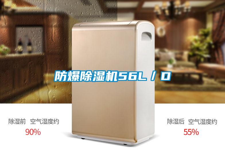 防爆香蕉福利视频机56L/D