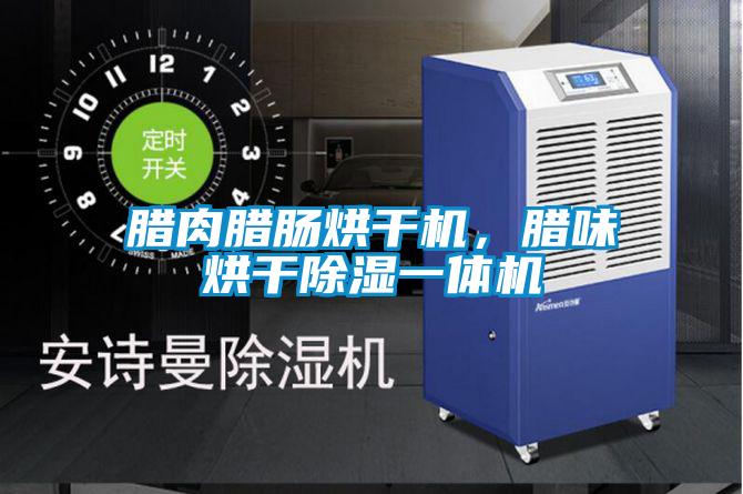 腊肉腊肠烘干机，腊味烘干香蕉福利视频一体机