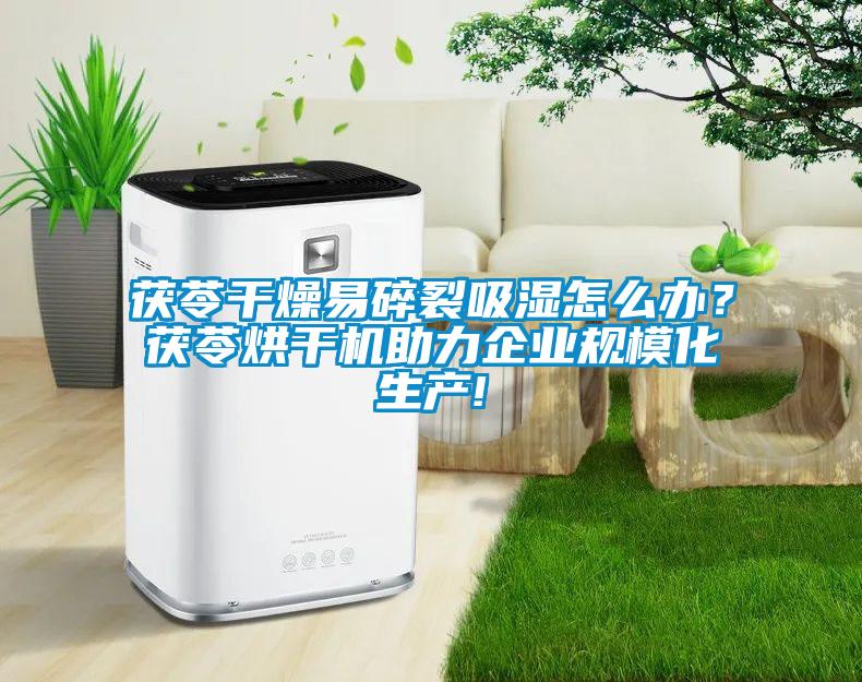 茯苓干燥易碎裂吸湿怎么办？茯苓烘干机助力企业规模化生产!
